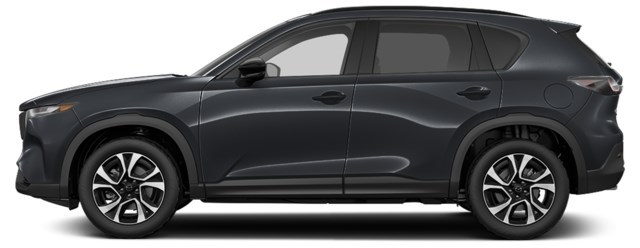 Jet Black Mica [Black]