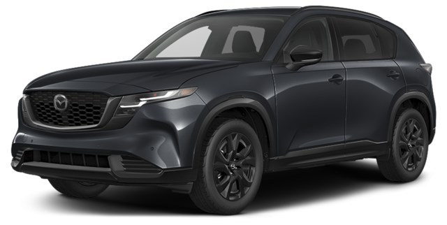Jet Black Mica [Black]