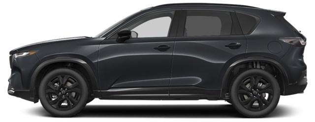 Jet Black Mica [Black]